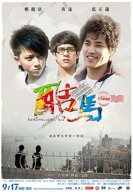 澳门性视频免费网站 - 小树林